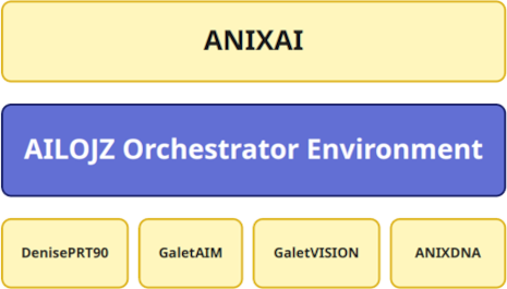 Chart displaying ANIXAI architecture within AILOJZ